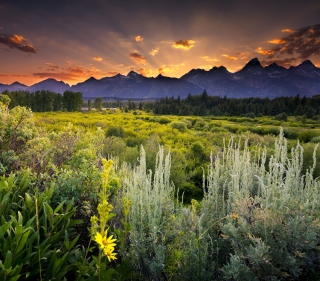 Wyoming National Park In Usa sfondi gratuiti per iPad
