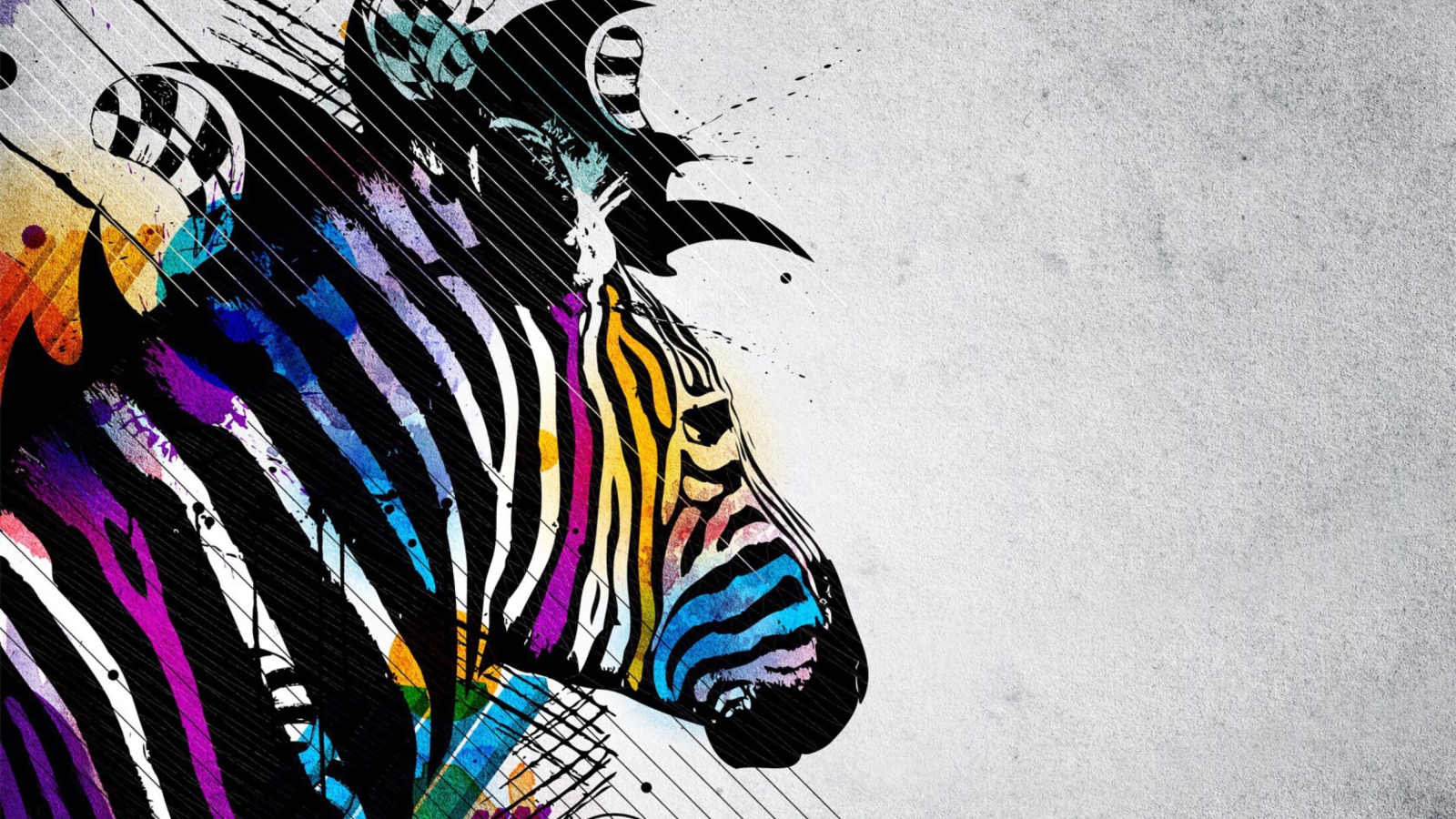 Sfondi Colored Zebra 1600x900