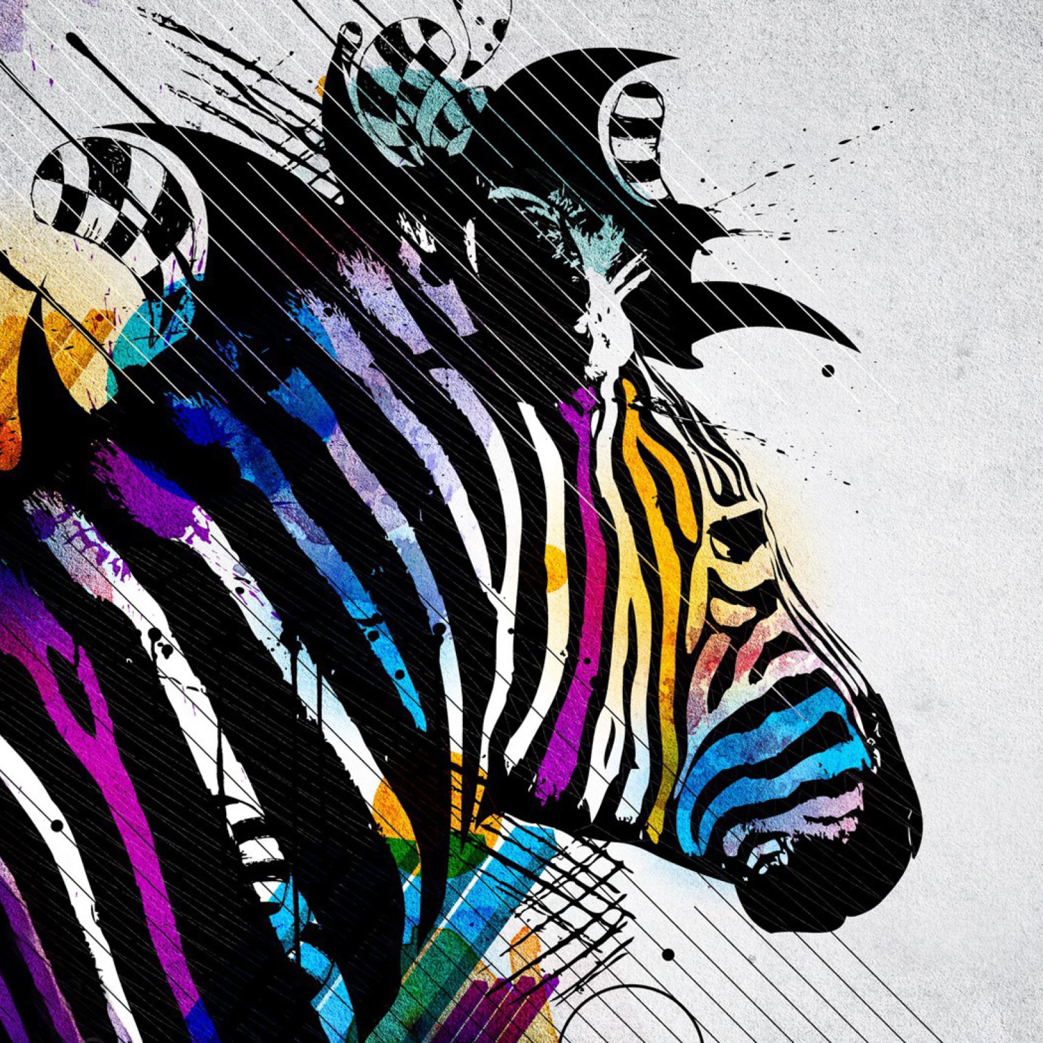 Обои Colored Zebra 2048x2048