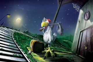Chicken In Night Picture for Android, iPhone and iPad