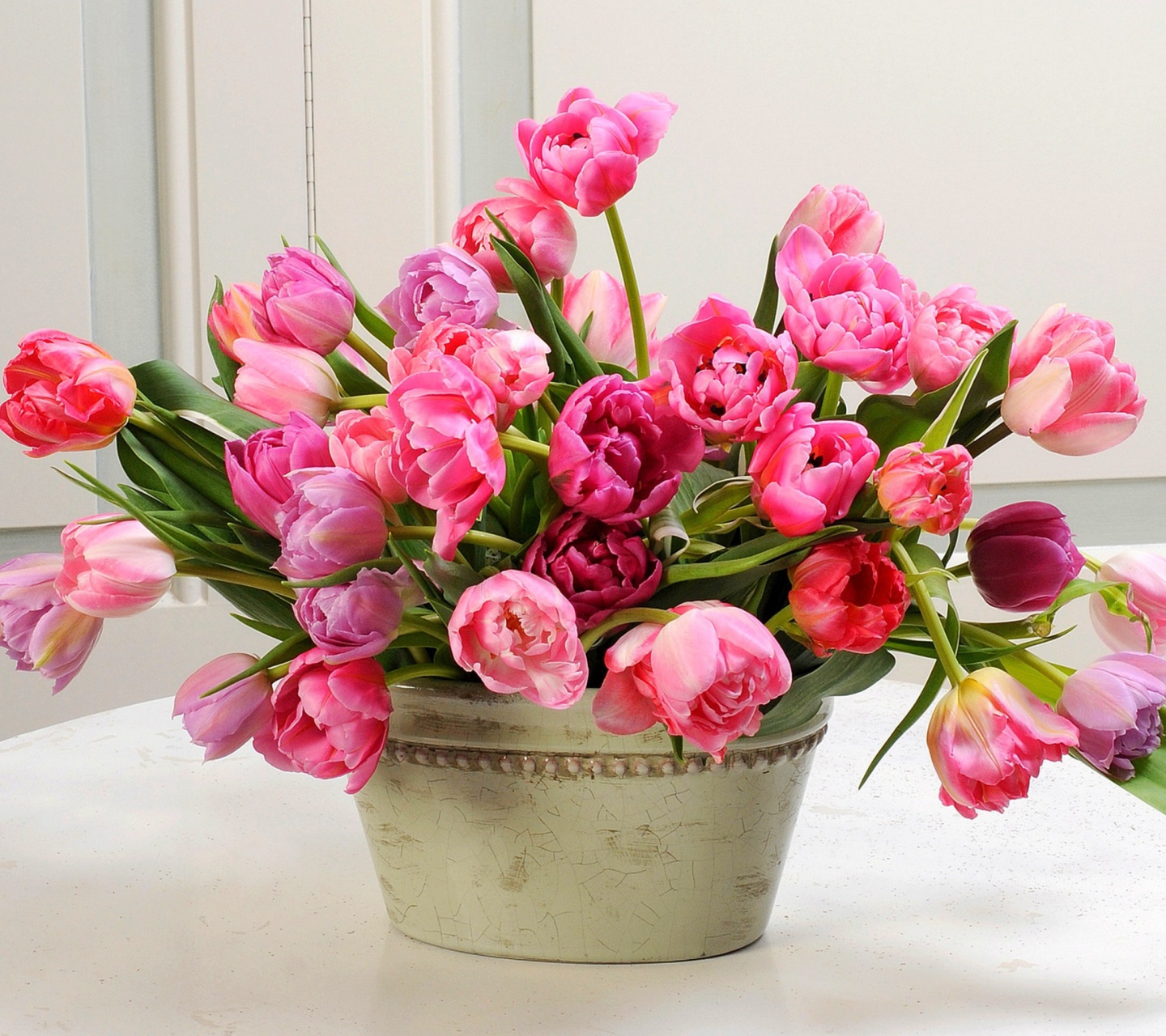 Fondo de pantalla Bouquet of Tulips 1440x1280