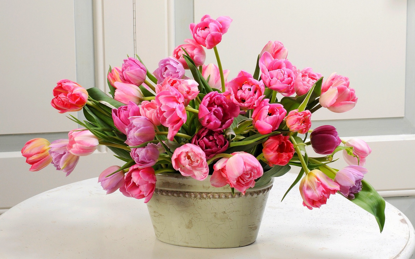 Fondo de pantalla Bouquet of Tulips 1440x900