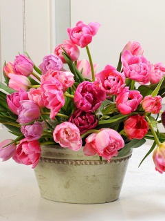 Fondo de pantalla Bouquet of Tulips 240x320