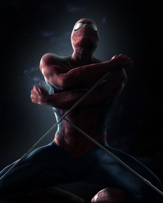 The Amazing Spider Man 2012 Film - Obrázkek zdarma pro Nokia C-5 5MP