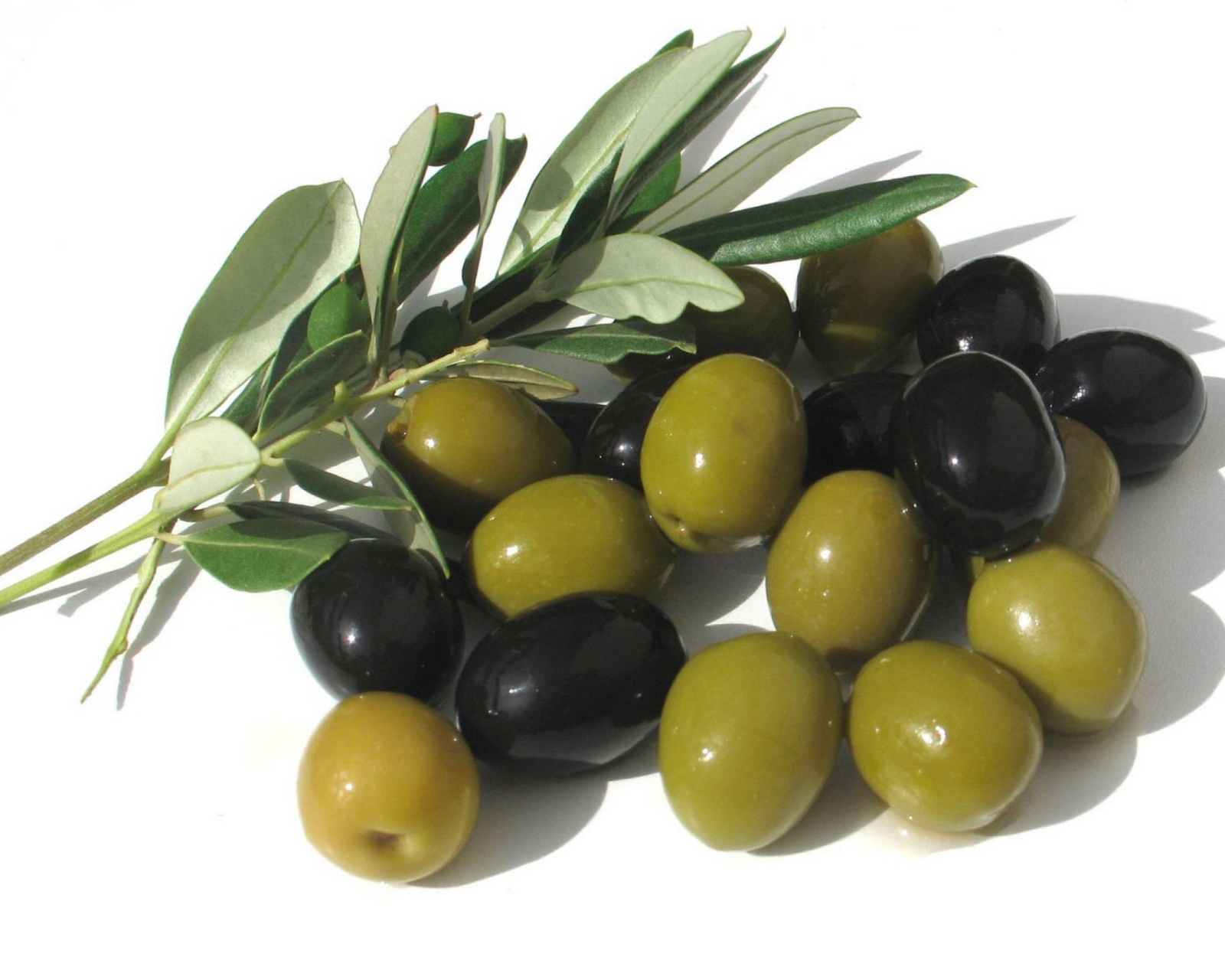 Обои Olives 1600x1280