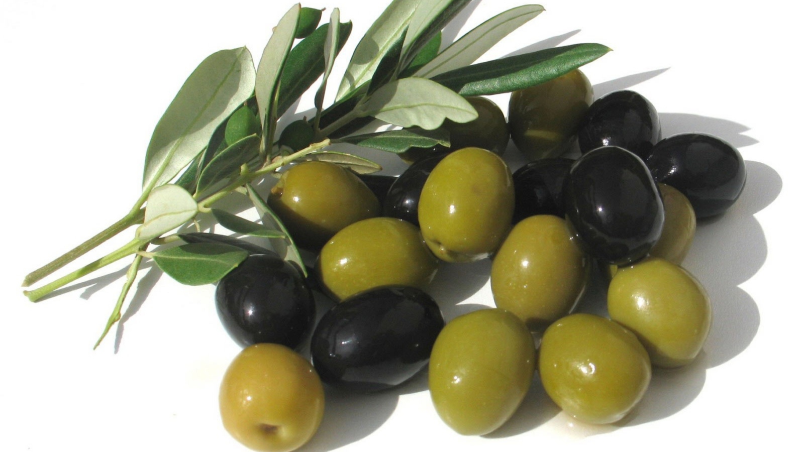 Olives screenshot #1 1600x900