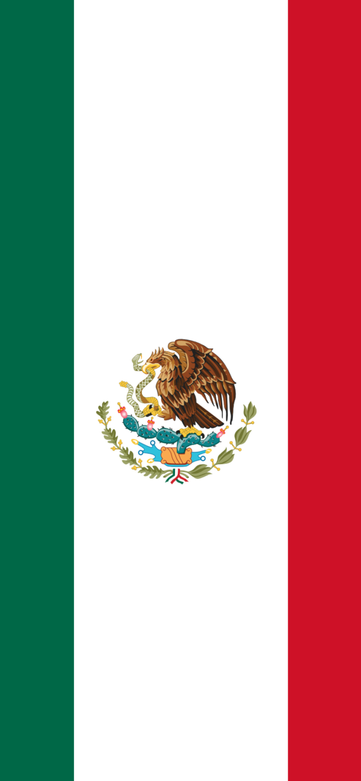 Screenshot №1 pro téma Mexican Flag 1170x2532