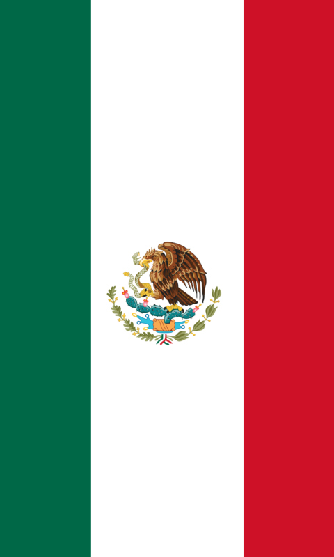 Screenshot №1 pro téma Mexican Flag 480x800