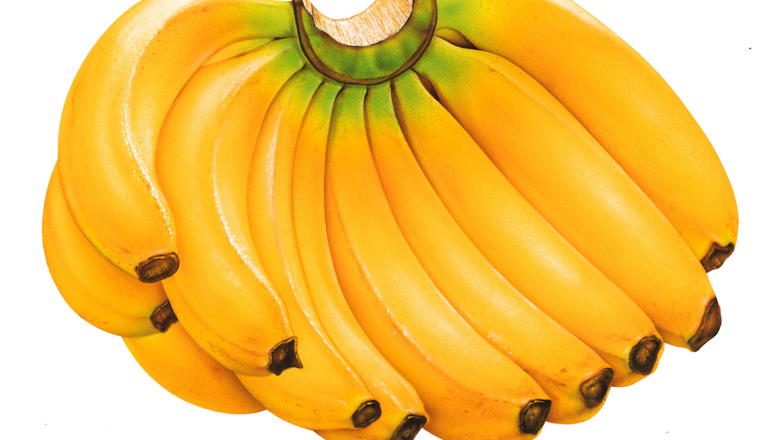 Screenshot №1 pro téma Sweet Bananas 1600x900
