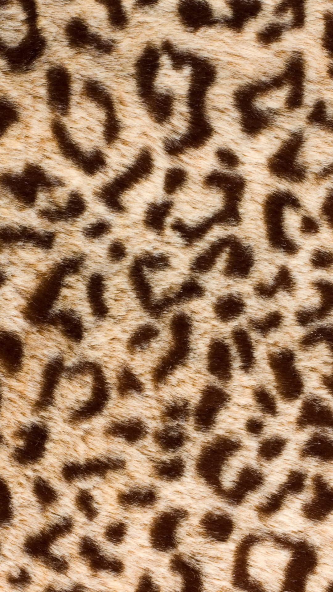 Das Leo Fur Wallpaper 1080x1920