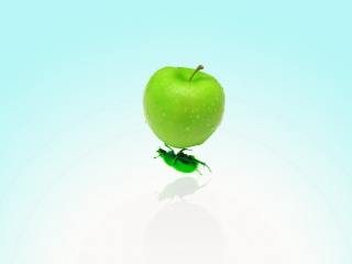 Обои Apple And Bug 320x240