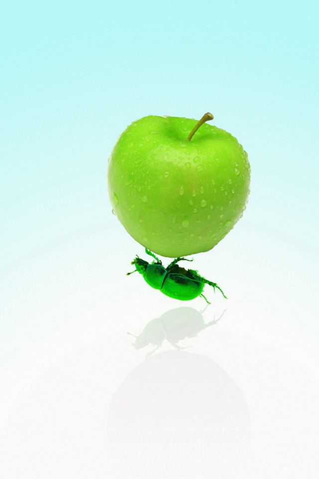 Apple And Bug wallpaper 640x960