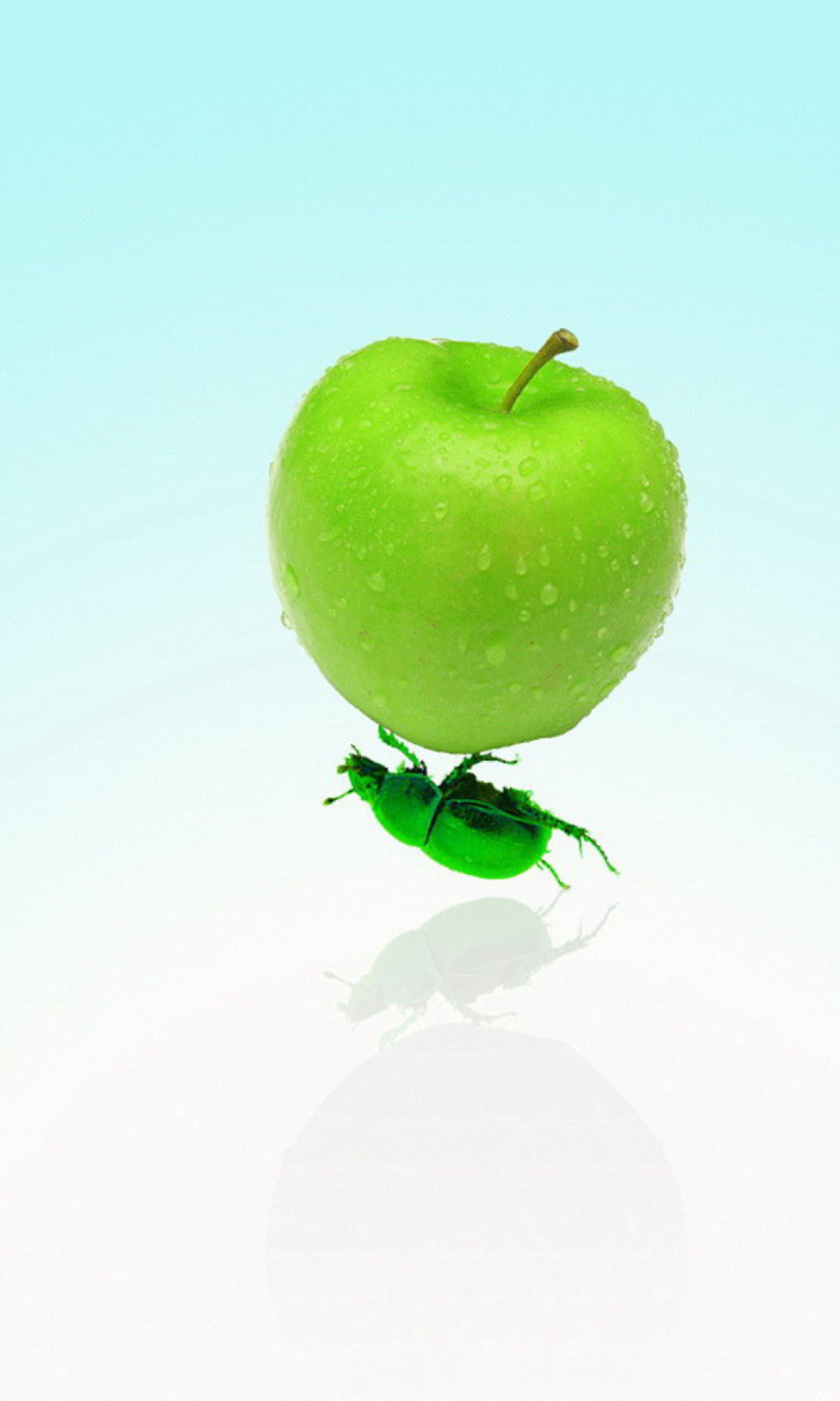 Fondo de pantalla Apple And Bug 768x1280