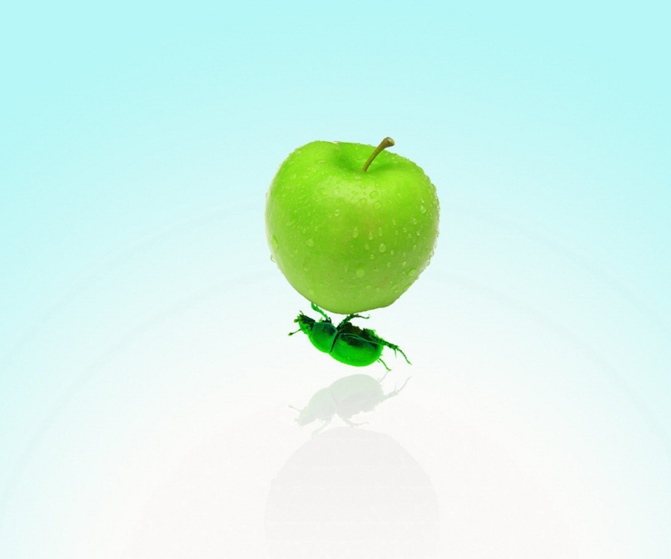 Apple And Bug screenshot #1 960x800