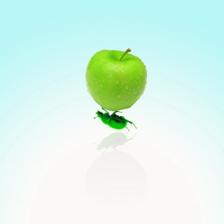 Apple And Bug - Obrázkek zdarma pro 2048x2048