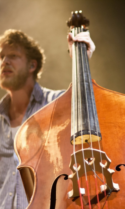 Man With Contrabass wallpaper 480x800