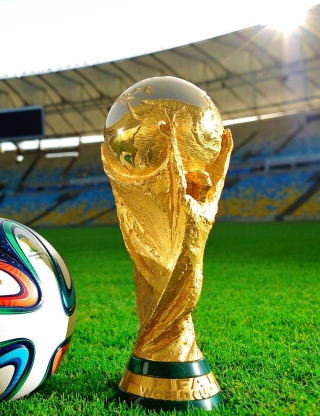 Fifa 2014 - Obrázkek zdarma pro 240x400