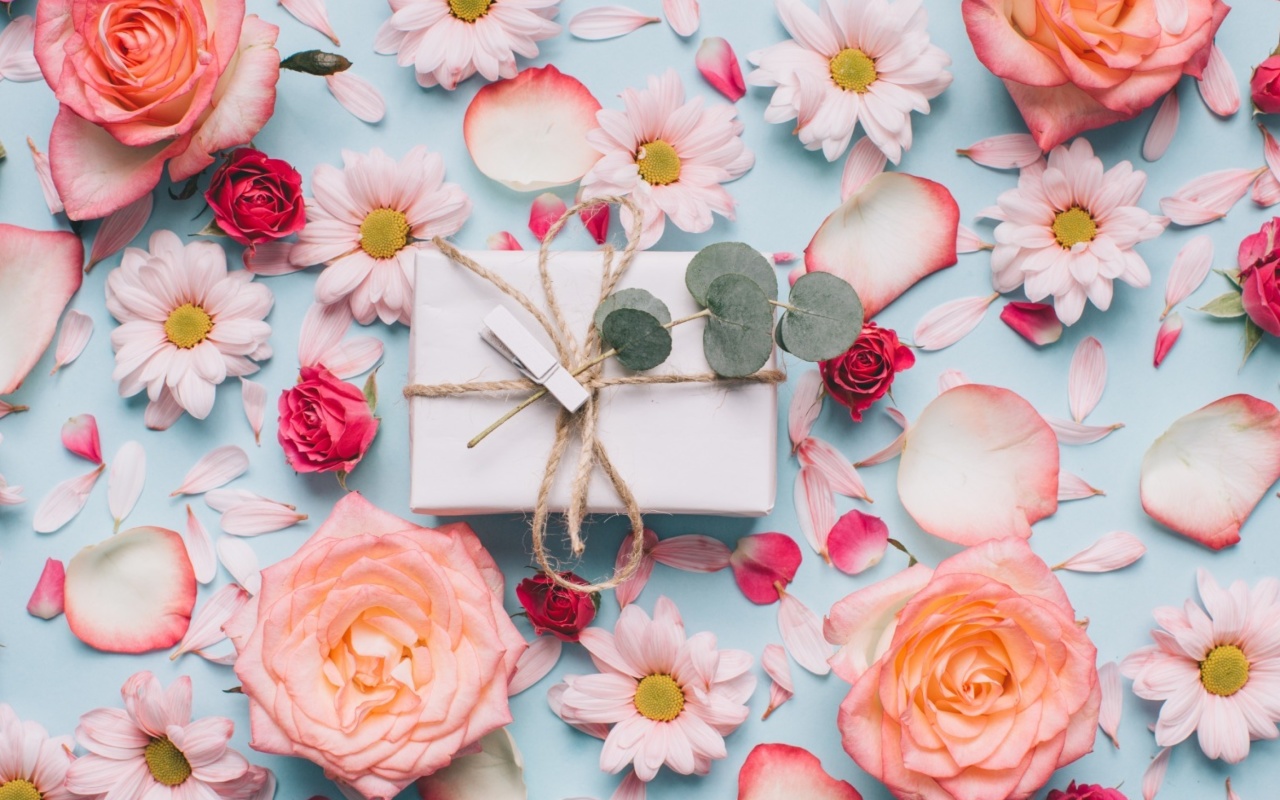 Gift and Roses wallpaper 1280x800