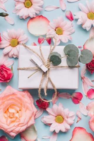 Gift and Roses wallpaper 320x480