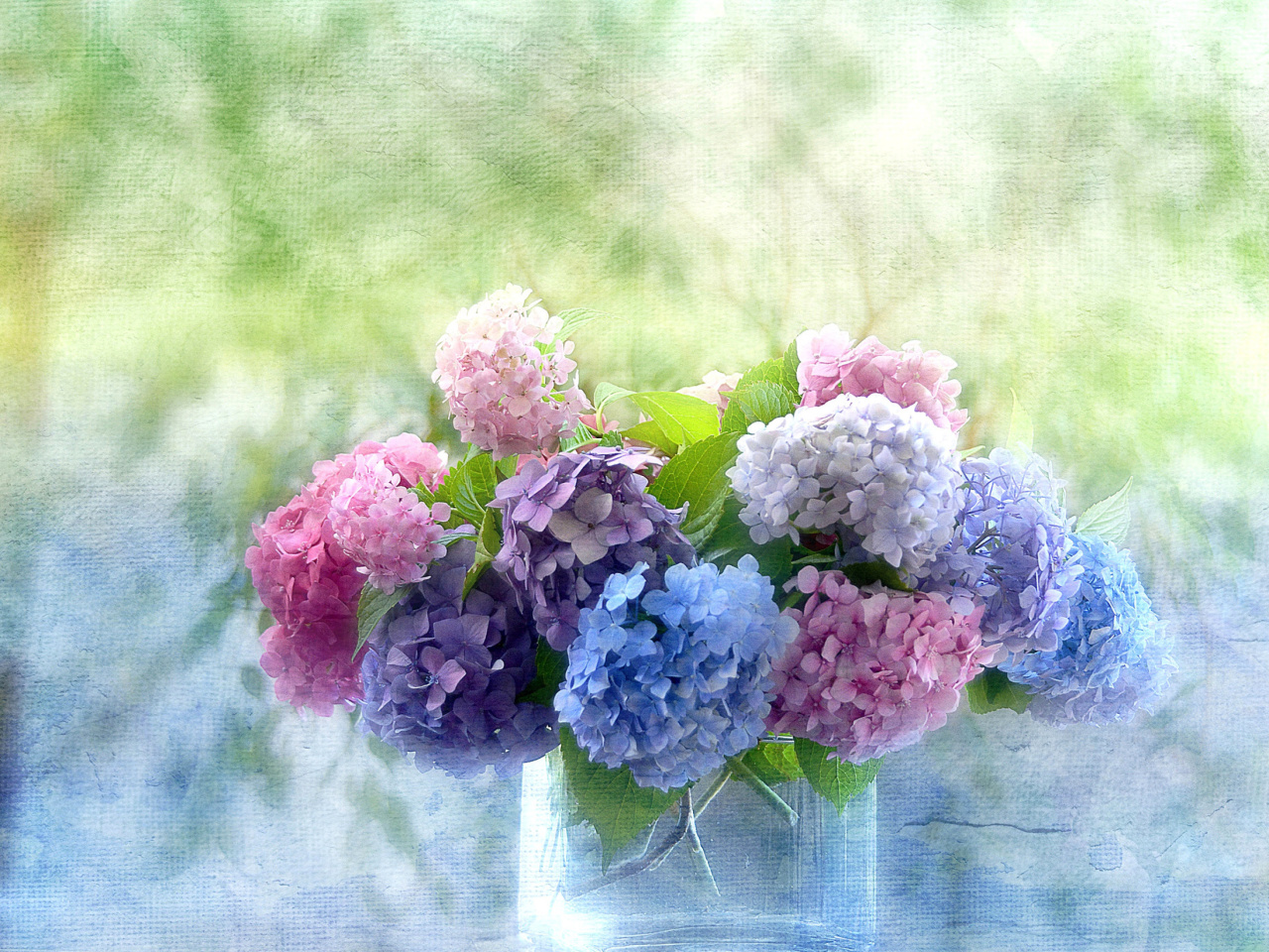 Sfondi Hydrangeas 1280x960