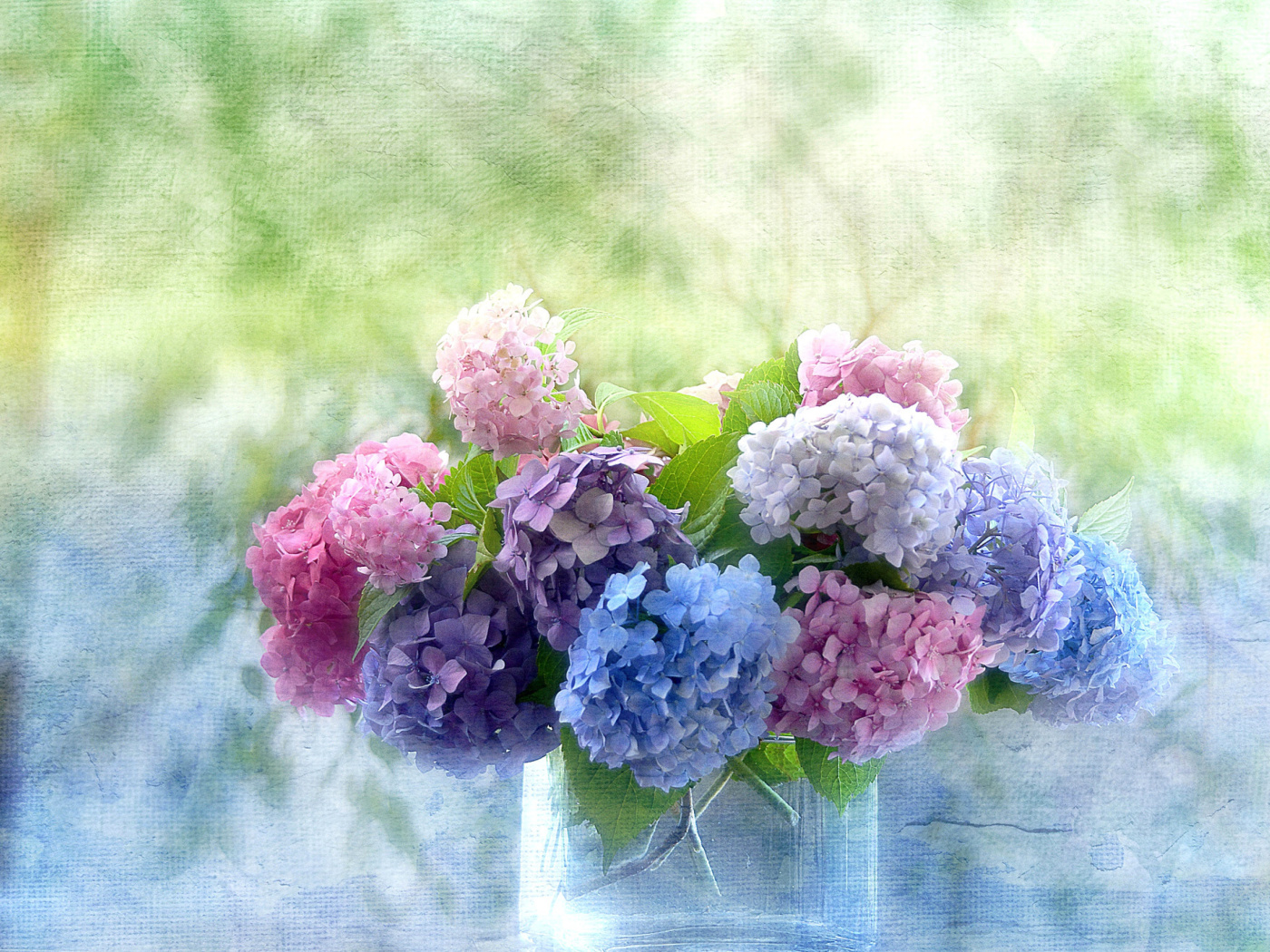 Sfondi Hydrangeas 1400x1050