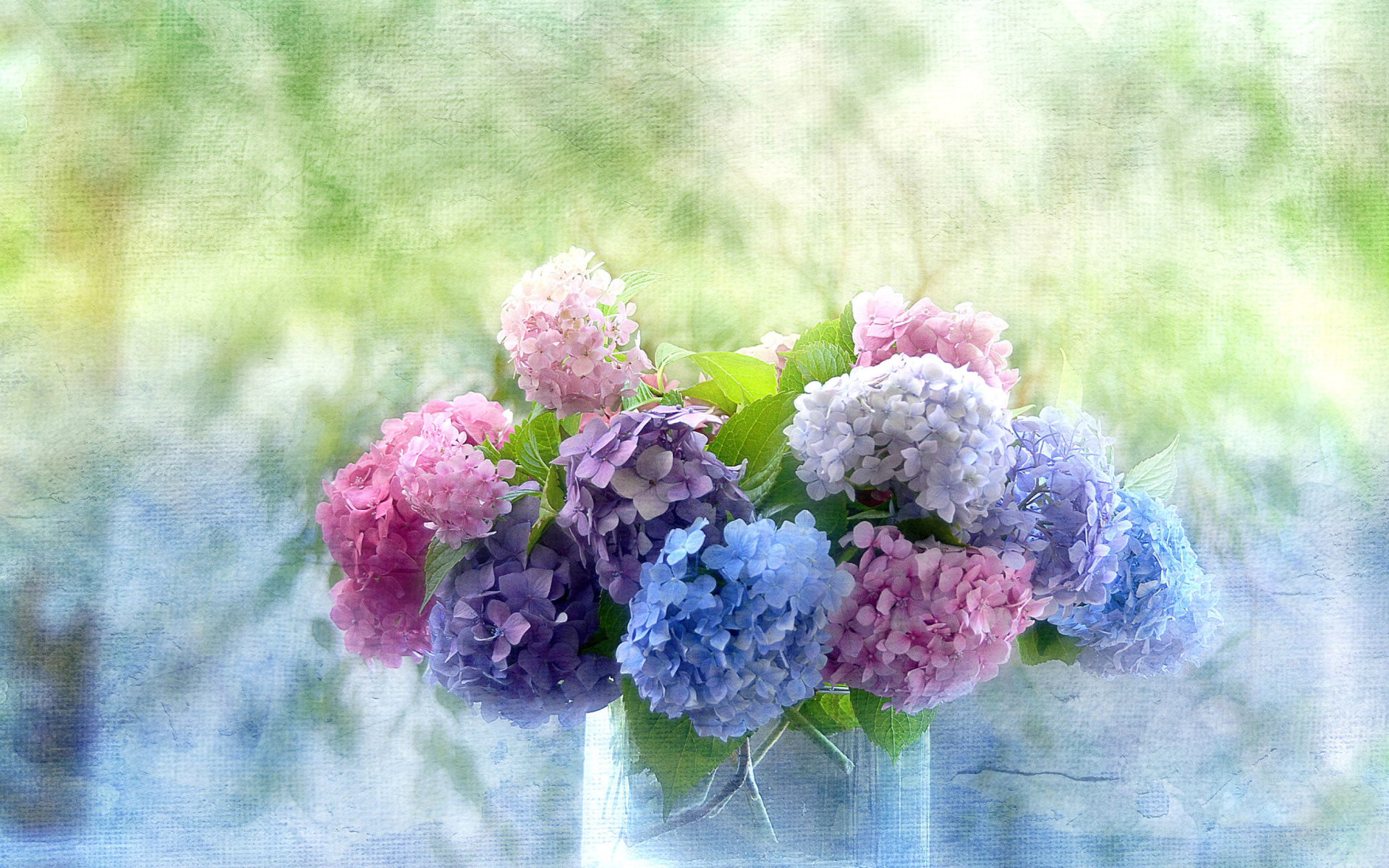 Das Hydrangeas Wallpaper 1920x1200