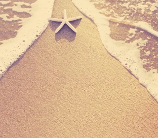 Kostenloses Sea-Star On Sand Wallpaper für iPad 2