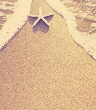 Sea-Star On Sand - Obrázkek zdarma pro iPhone 4