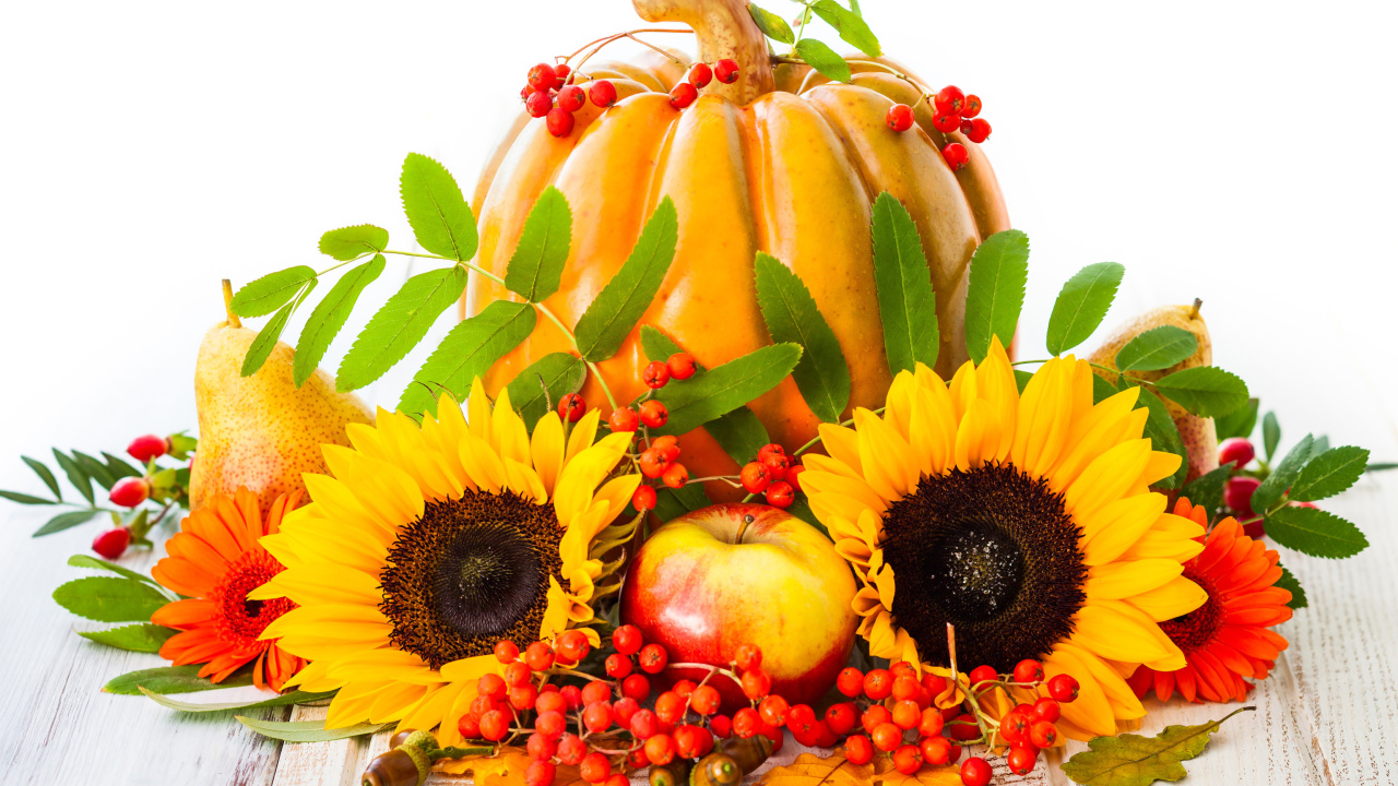 Обои Harvest Pumpkin and Sunflowers 1280x720