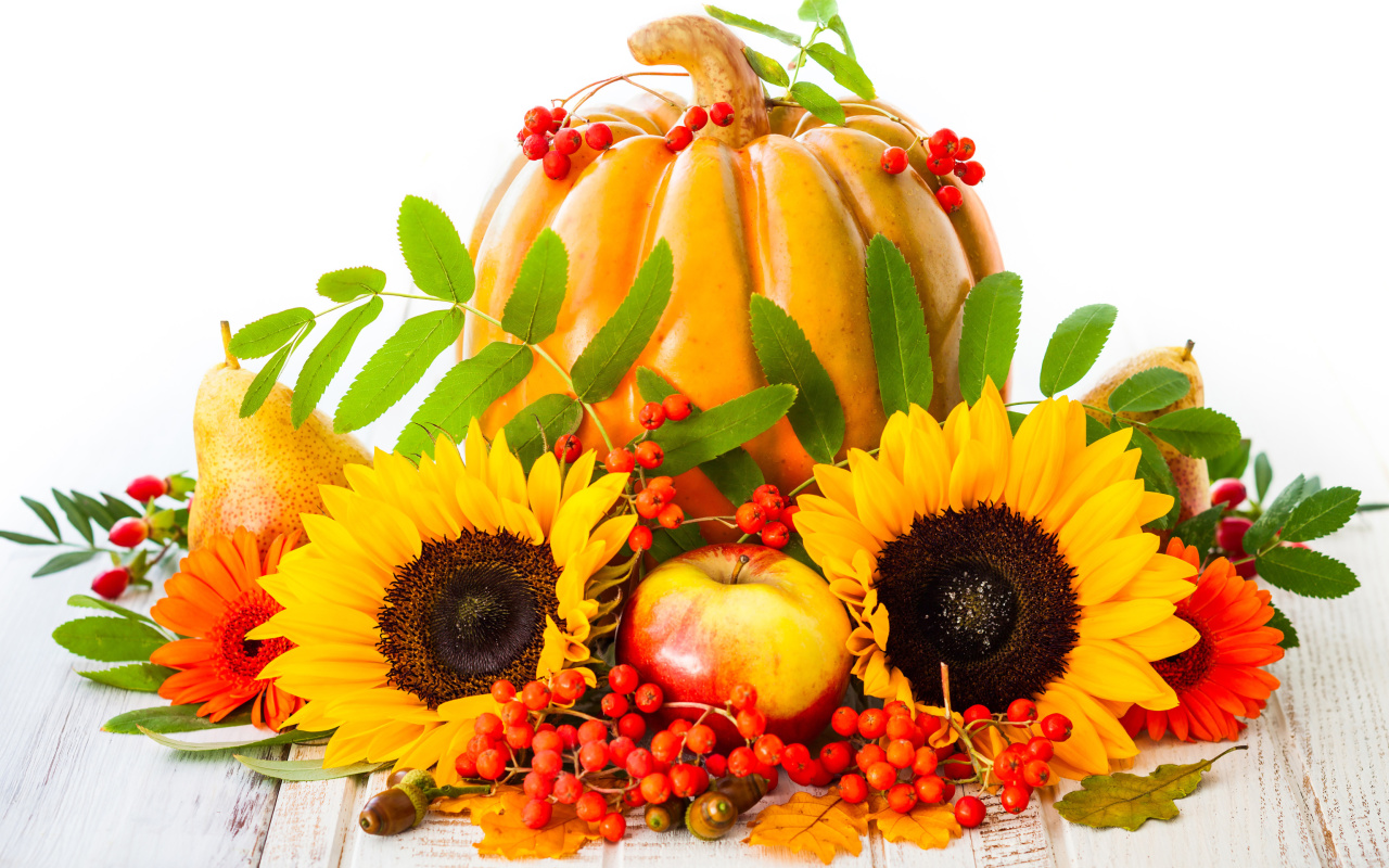 Screenshot №1 pro téma Harvest Pumpkin and Sunflowers 1280x800