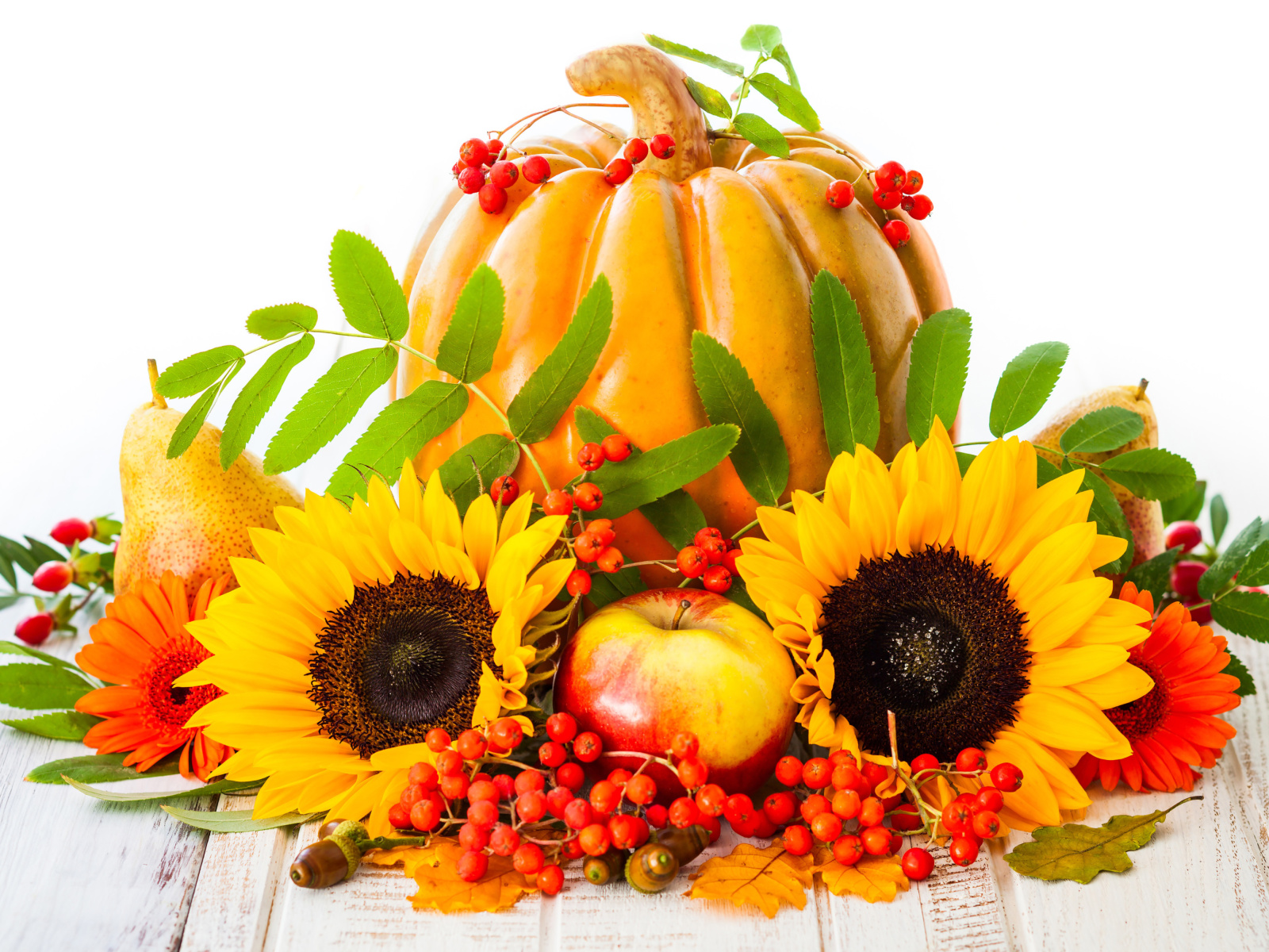 Sfondi Harvest Pumpkin and Sunflowers 1600x1200