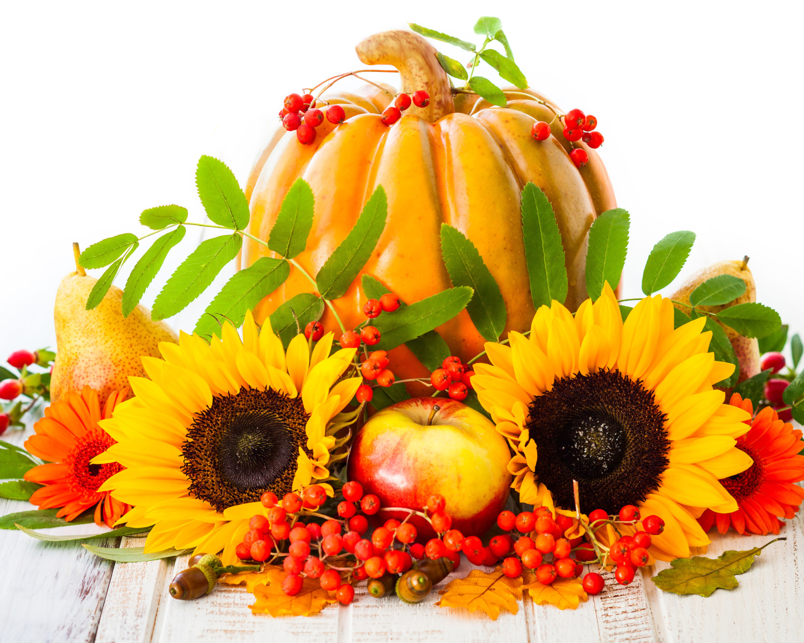 Обои Harvest Pumpkin and Sunflowers 1600x1280