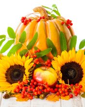 Обои Harvest Pumpkin and Sunflowers 176x220