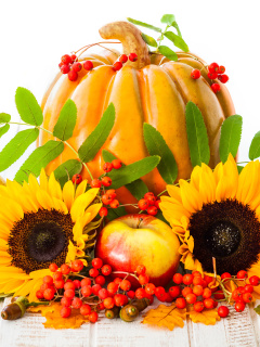 Fondo de pantalla Harvest Pumpkin and Sunflowers 240x320