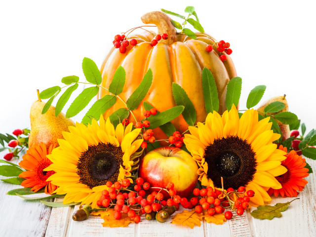 Обои Harvest Pumpkin and Sunflowers 640x480