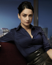 Screenshot №1 pro téma The Good Wife Kalinda Sharma, Archie Panjabi 176x220