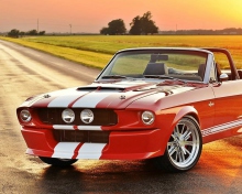 Sfondi 1965 Ford Mustang Convertible 220x176