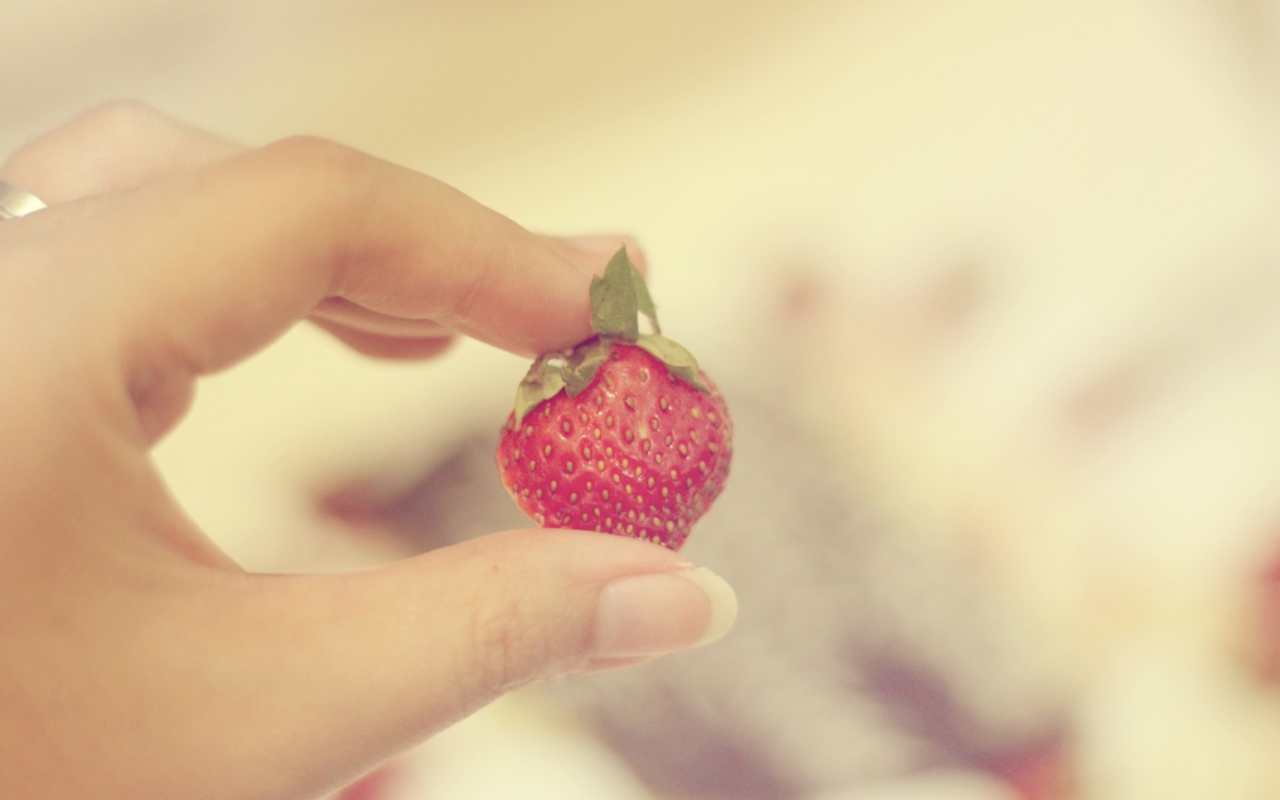 Das Strawberry In Her Hand Wallpaper 1280x800