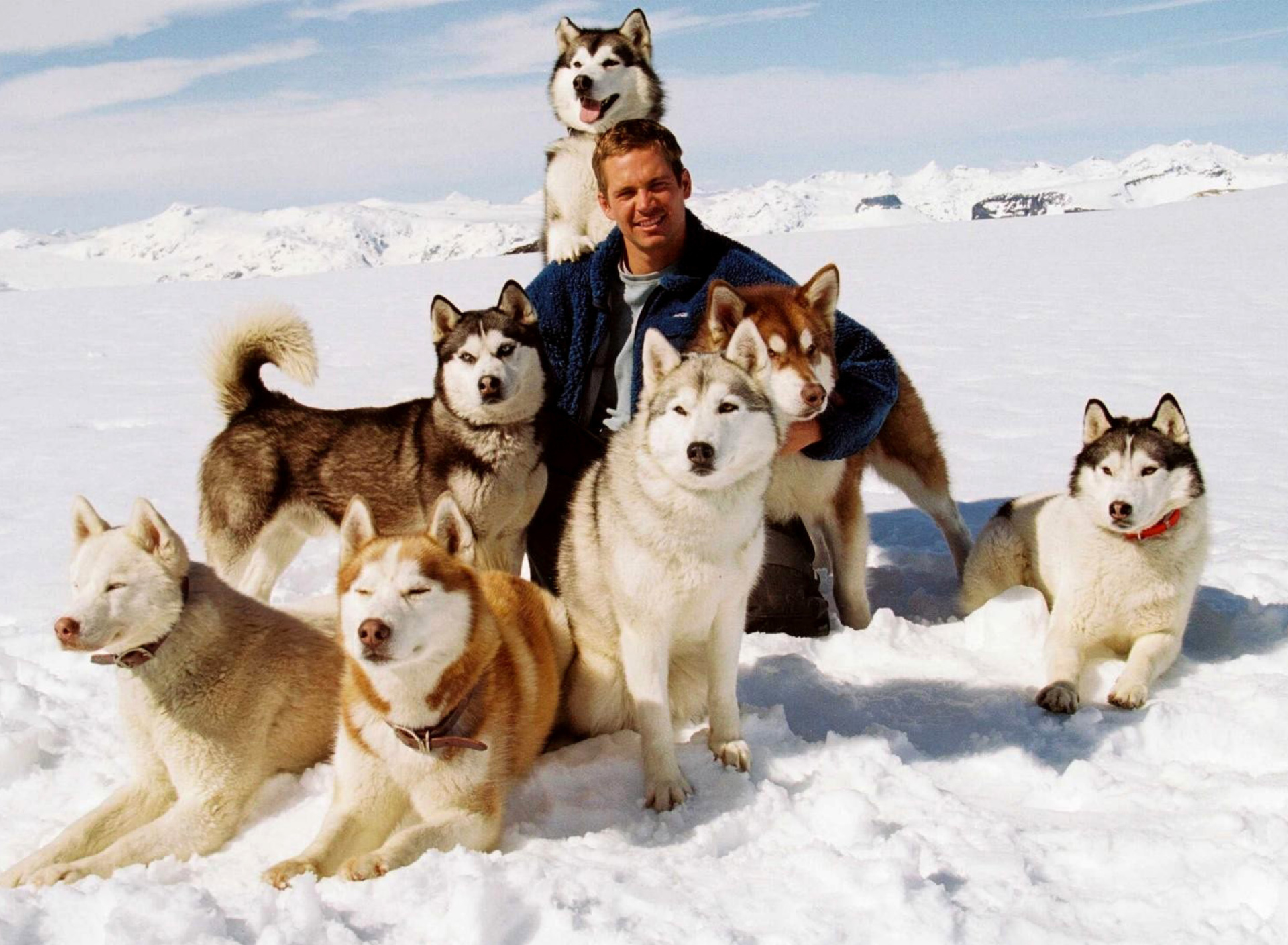 Screenshot №1 pro téma Eight Below Paul Walker 1920x1408