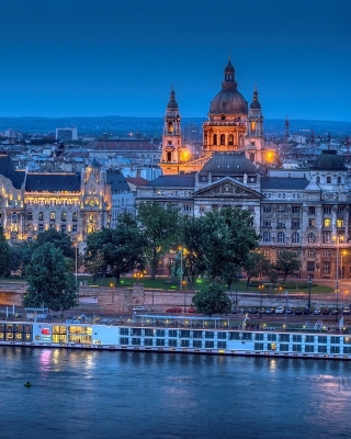 Budapest St Stephens Basilica and Danube Chain Bridge - Obrázkek zdarma pro 768x1280