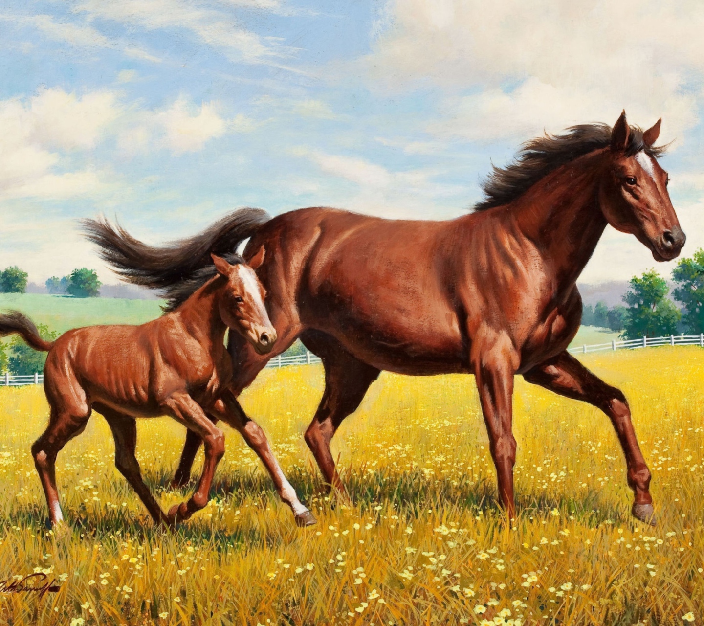 Fondo de pantalla Horses 1440x1280