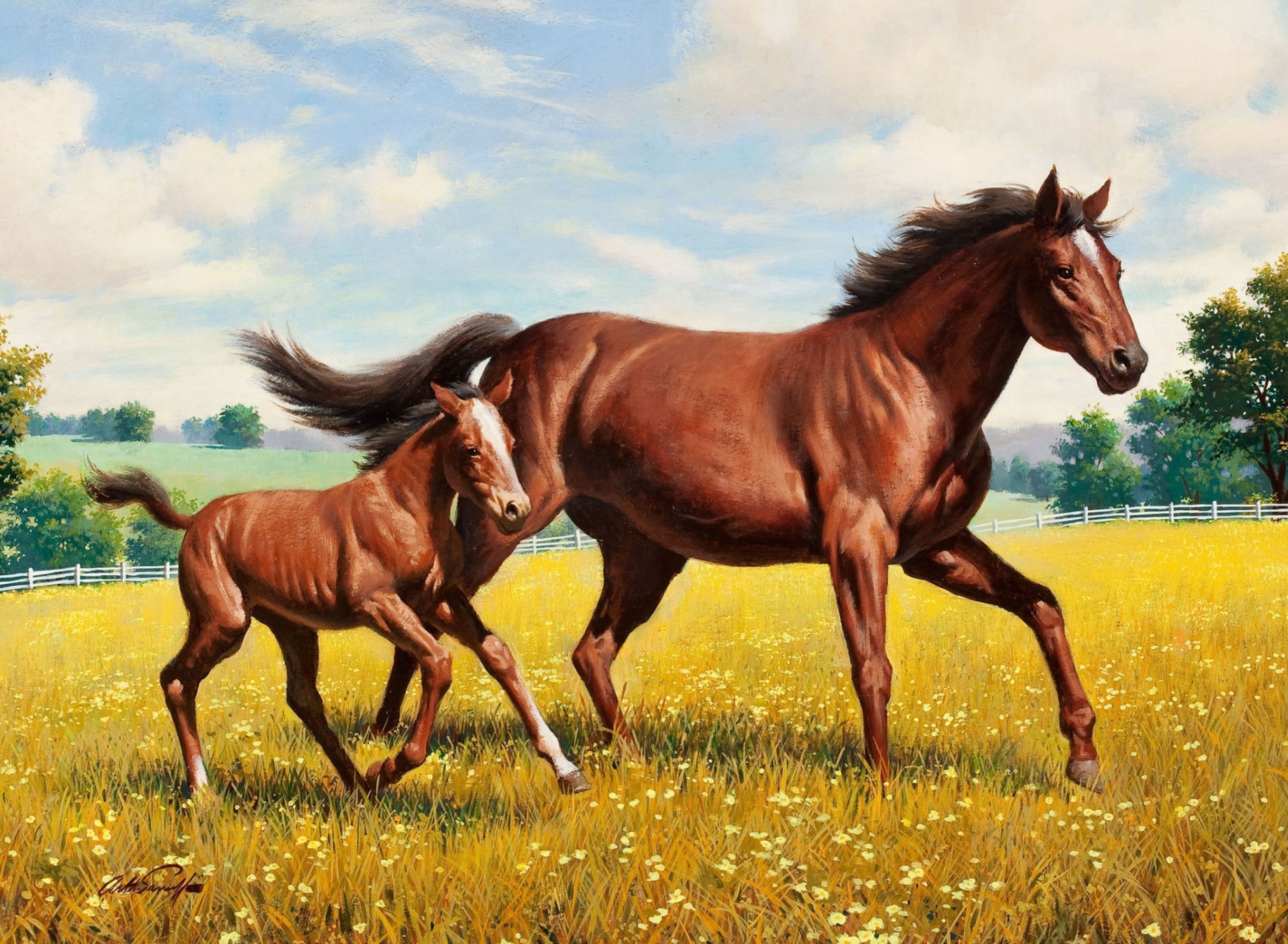 Das Horses Wallpaper 1920x1408
