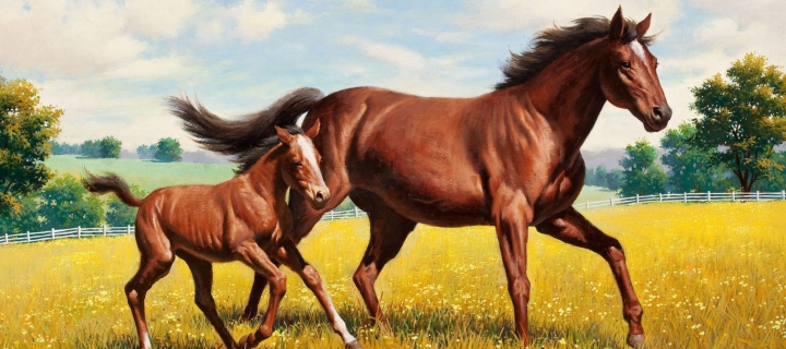 Das Horses Wallpaper 720x320