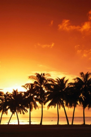 Fondo de pantalla Tropical Sunset 320x480