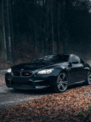 BMW M6 Coupe screenshot #1 132x176