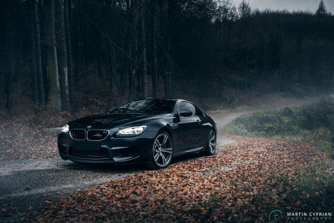 BMW M6 Coupe screenshot #1 480x320