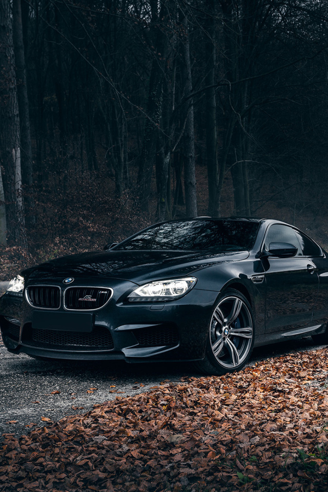 BMW M6 Coupe screenshot #1 640x960
