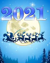 Fondo de pantalla 2021 New Year Night 176x220