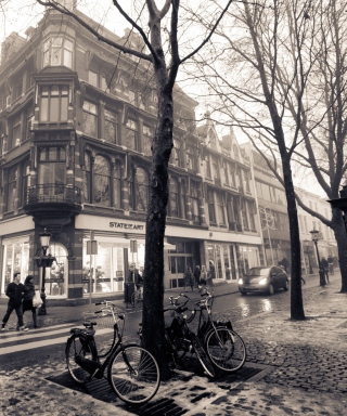 Mariaplaats - Misty Utrecht In Winter - Obrázkek zdarma pro iPhone 5