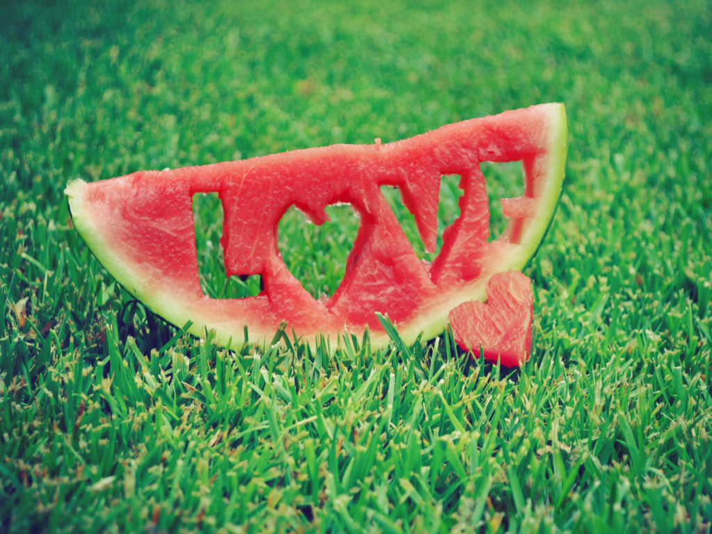 Watermelon Love wallpaper 1024x768